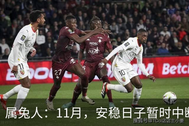属兔人：11月，安稳日子暂时中断，大戏要开场