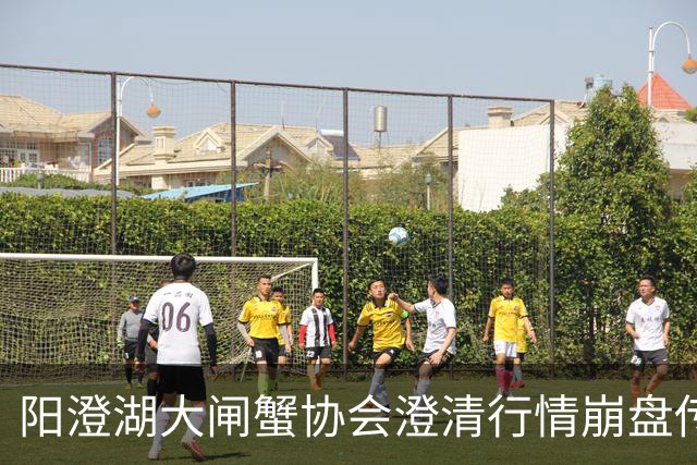 阳澄湖大闸蟹协会澄清行情崩盘传言：正宗阳澄湖大闸蟹供需平稳